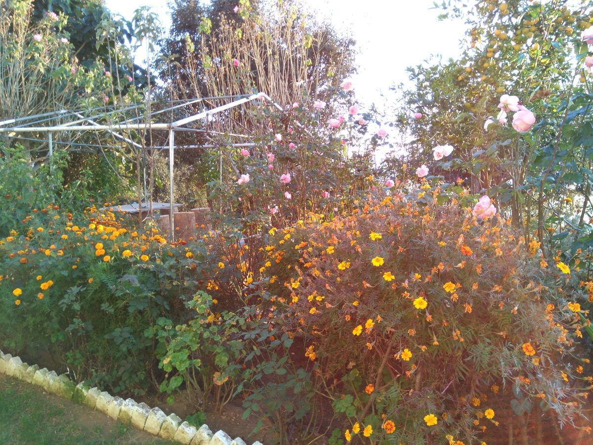 Maa Ananda Mayee Guest House Binsar Bagian luar foto
