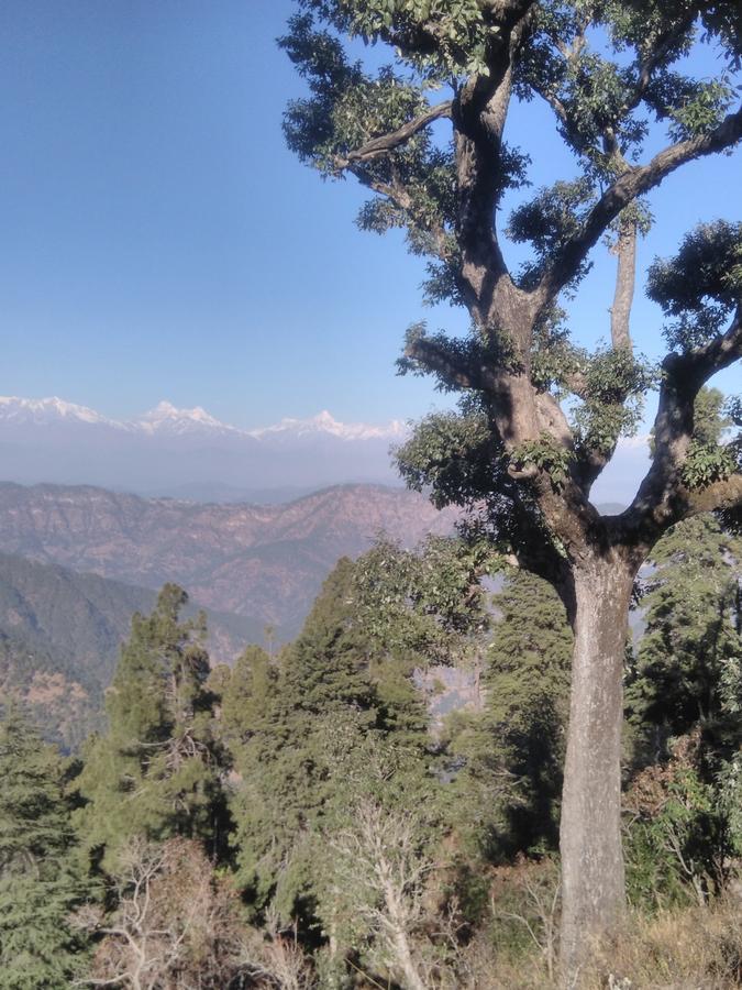 Maa Ananda Mayee Guest House Binsar Bagian luar foto