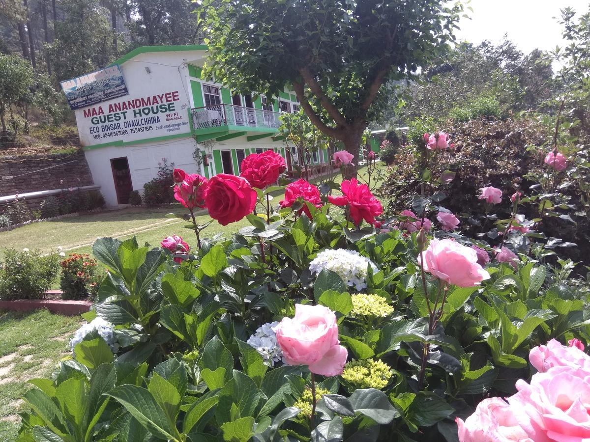 Maa Ananda Mayee Guest House Binsar Bagian luar foto