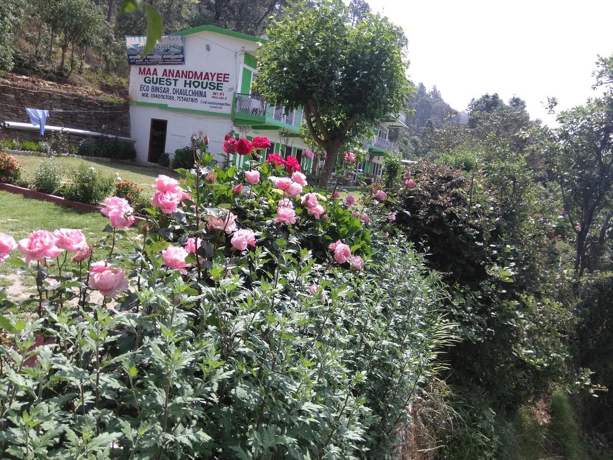 Maa Ananda Mayee Guest House Binsar Bagian luar foto