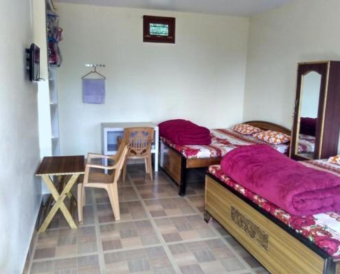 Maa Ananda Mayee Guest House Binsar Bagian luar foto